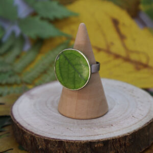 Anillo Hoja Circular