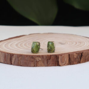 Pendientes Mini Rectángulos con Hojas Encapsuladas