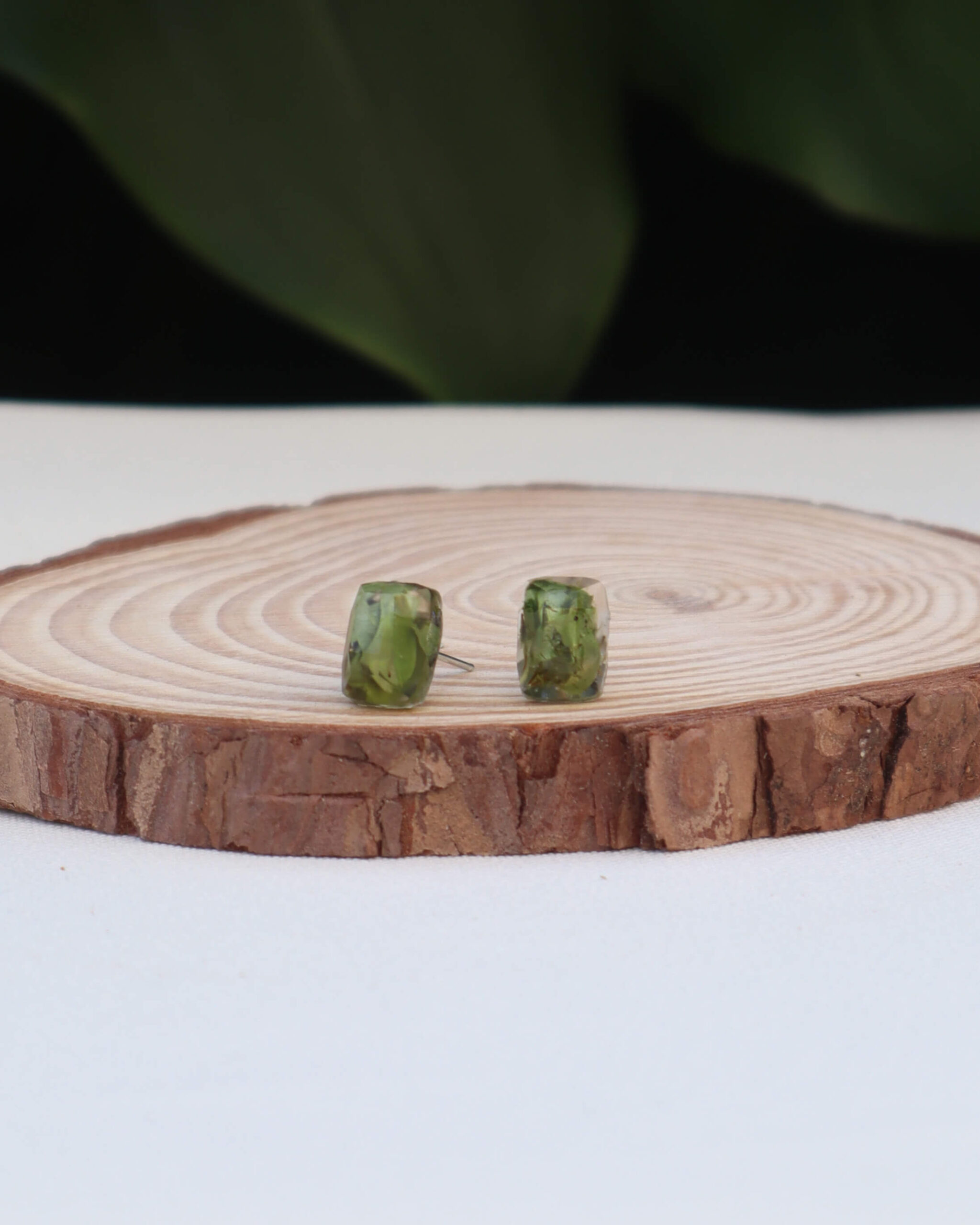 Pendientes Mini Rectángulos con Hojas Encapsuladas