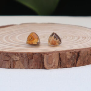 Pendientes Mini Triángulos con Flor Encapsulada