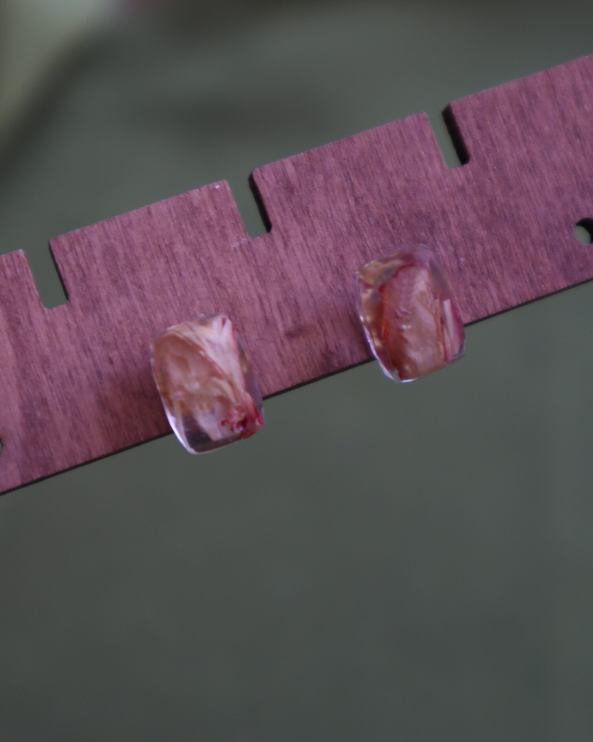 Pendientes Mini Rectángulos con Pétalos Encapsulados