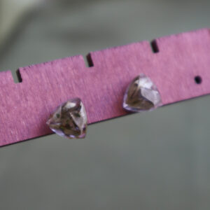 Pendientes Mini Triángulos con Hojas Encapsuladas