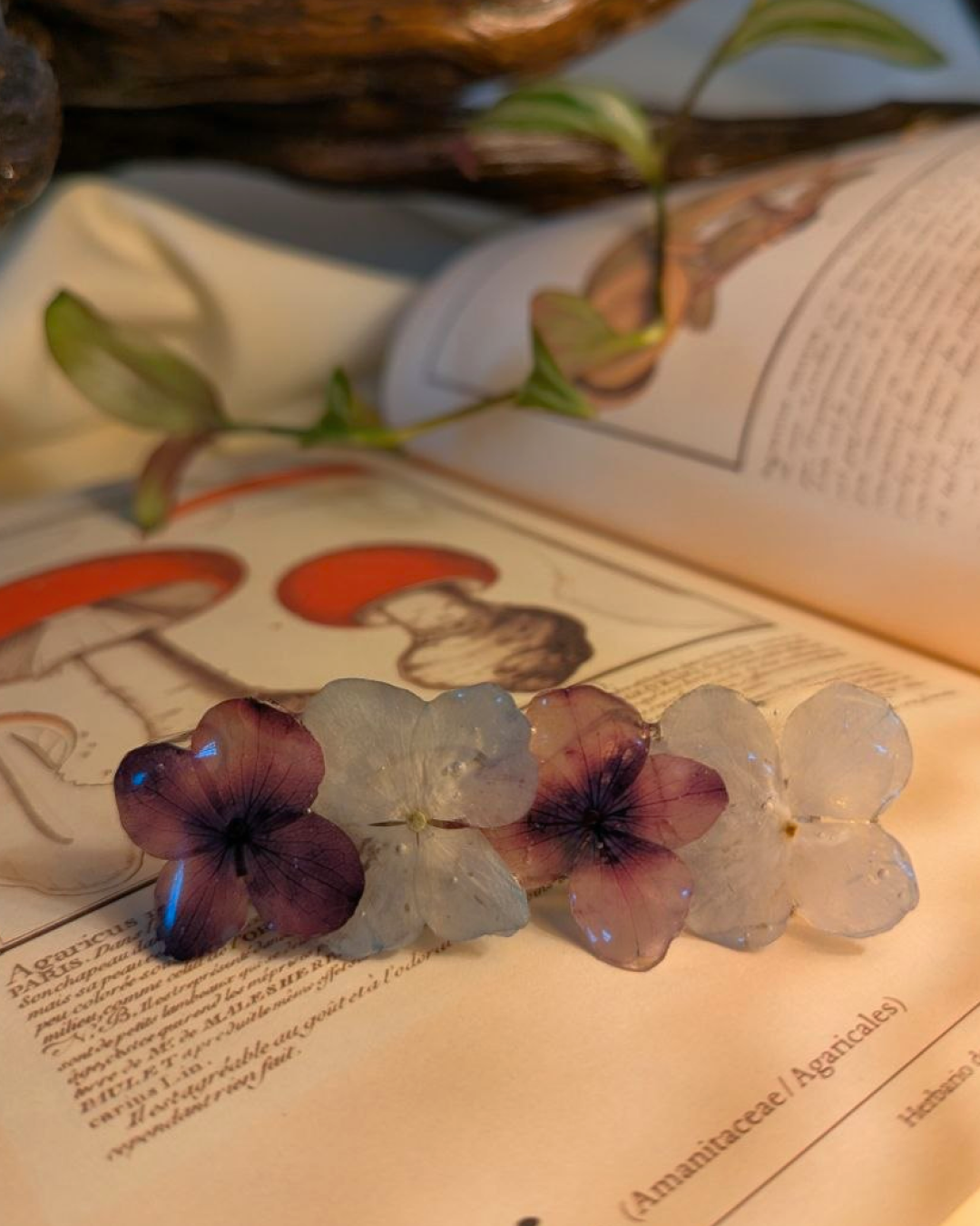 Pasador de Pelo de Flores Prensadas Azul y Morado