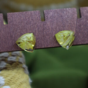 Pendientes Mini Triángulos con Pétalos Encapsulados